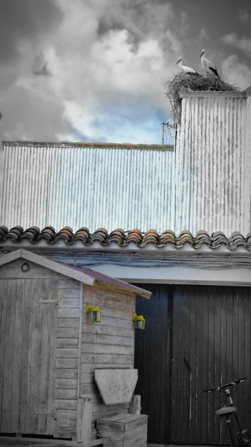 Casa Rural La Cruz El Gordo Ngoại thất bức ảnh